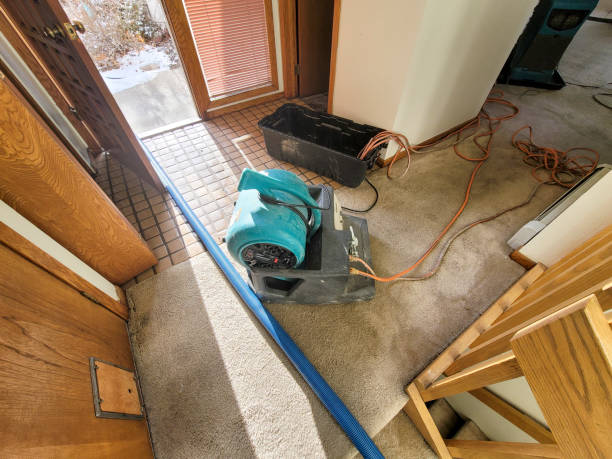 Best Water damage repair service  in Mariposa, CA