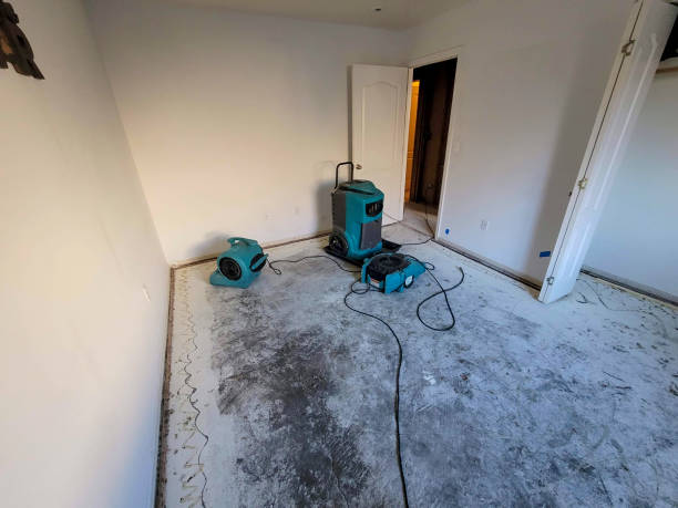 Best Flooded house restoration  in Mariposa, CA