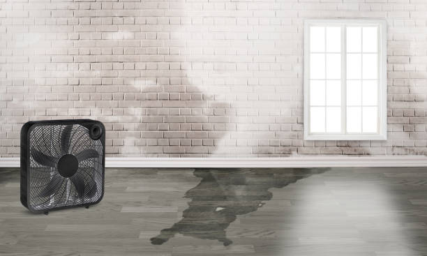 Best Flood restoration services  in Mariposa, CA