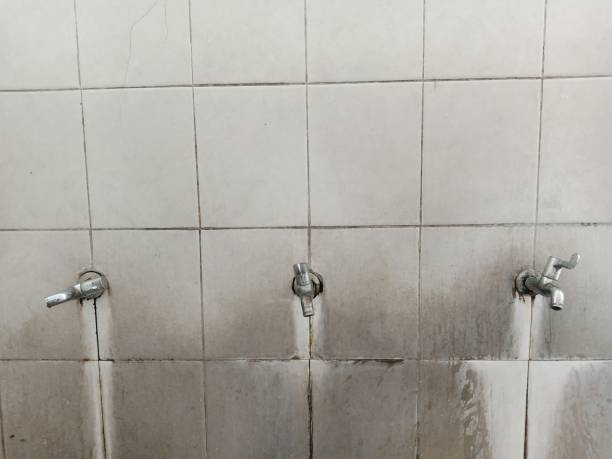 Best Basement water damage restoration  in Mariposa, CA