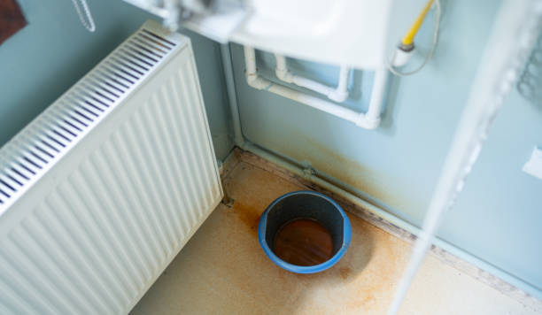 Best Water damage cleanup near me  in Mariposa, CA