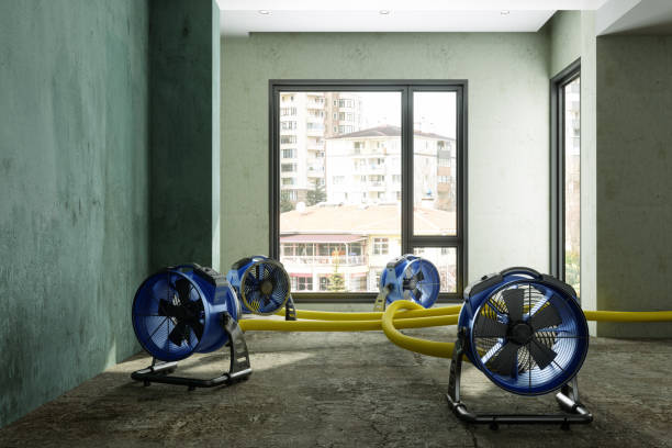 Best Commercial water damage restoration  in Mariposa, CA