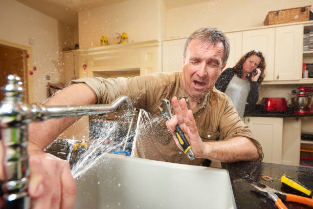 Best Mold removal after water damage  in Mariposa, CA